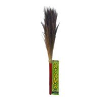ASHMA PHOOL JHADU 1.00 NO