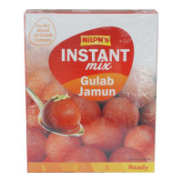 NILONS GULAB JAMUN MIX 175 GM BOX