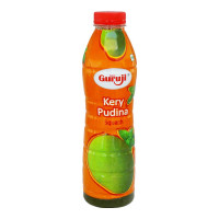 GURUJI KERY PUDINA SQUASH 750 ML
