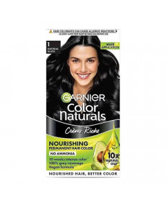 GARNIER COLOR NATURALS HAIR COLOR 1 NATURAL BLACK 60 ML+ 60.00 GM BOX GARNIER COLOR NATURALS HAIR COLOR 1 NATURAL BLACK 60 ML+ 60.00 GM BOX