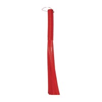ARISTO PLAZA HARD BROOM BIG 1 No