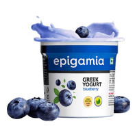 EPIGAMIA GREEK YOGURT BLUEBERRY 85 GM