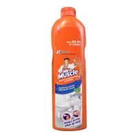 MR. MUSCLE TOILET & BATHROOM CLEANER 450 Ml