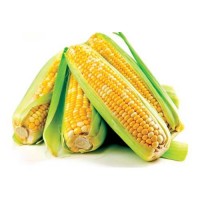 American Corn  1.0 Piece