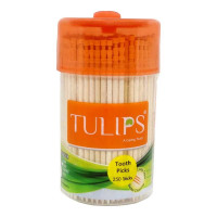 TULIPS TOOTH PICKS 250 STICKS 1.00 NO