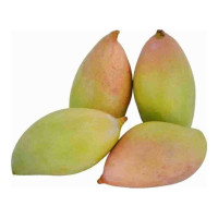 MANGO TOTAPARI 1.0 KG