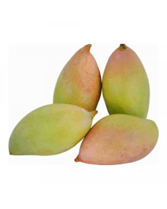 MANGO TOTAPARI 1.0 KG