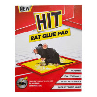HIT RAT GLUE PAD LARGE PACK  1.00 NO PACKET