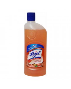 LIZOL SANDAL SURFACE CLEANER 500.00 ML BOTTLE LIZOL SANDAL SURFACE CLEANER 500.00 ML BOTTLE